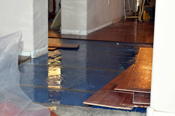 Professional Basement Flood Cleanup technician working in Pownal, ME